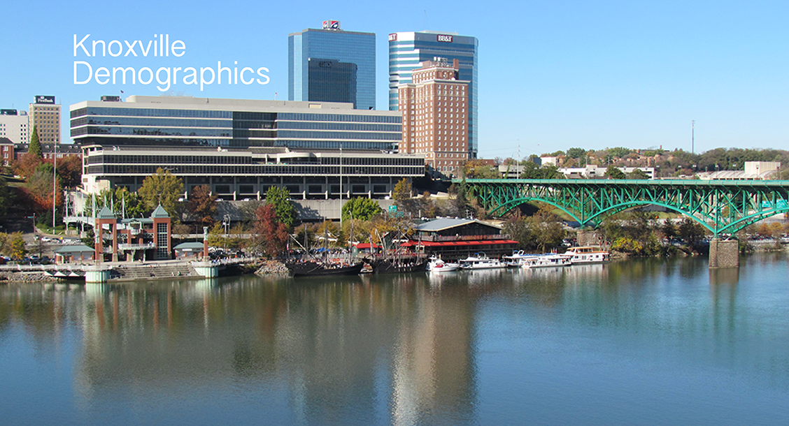 knoxville demographics